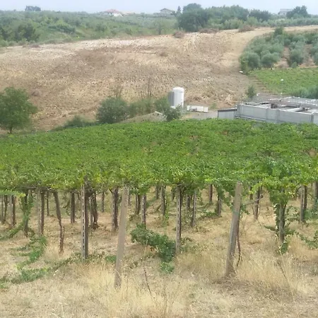 Casa di campagna Fattoria Zitumasse Crecchio